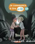 vignette